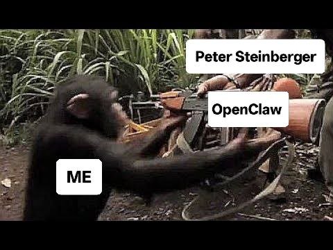 openclaw meme
